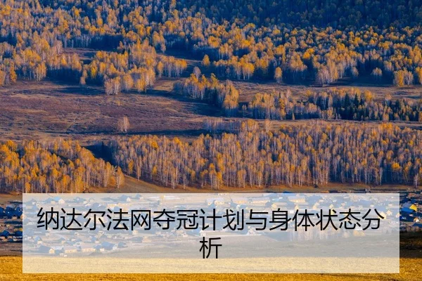 na-da-er-fa-wang-duo-guan-ji-hua-yu-shen-ti-zhuang-tai-fen-xi-2-795.jpg