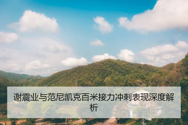 谢震业与范尼凯克百米接力冲刺表现深度解析