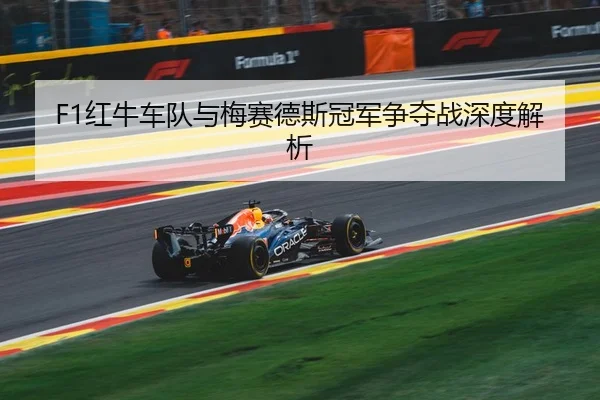 hong-niu-che-dui-yu-mei-sai-de-si-guan-jun-zheng-duo-zhan-shen-du-jie-xi-2-358.jpg